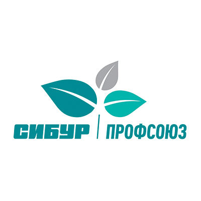 Логотип ППО